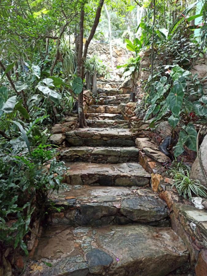Casa Da Mata Descanso E Sossego Na Natureza Ibicoara Exteriér fotografie