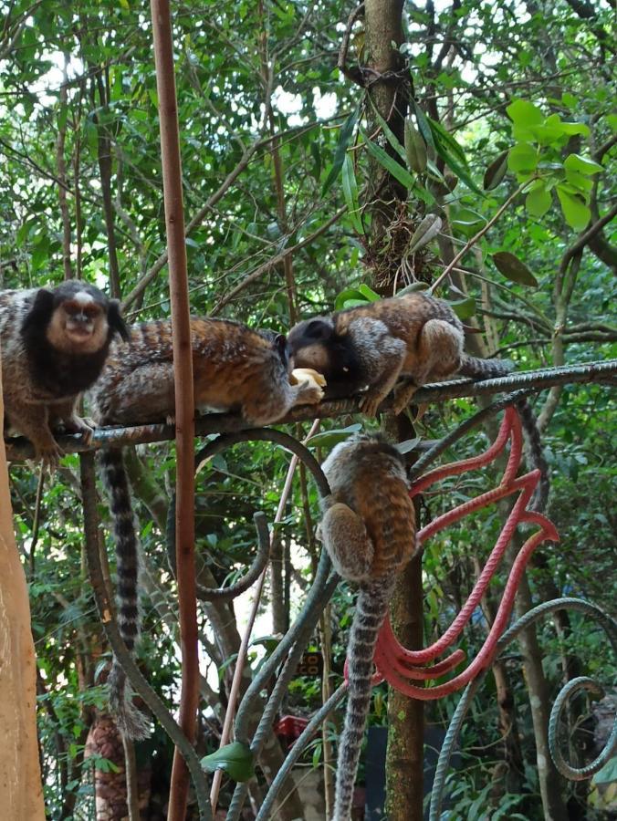 Casa Da Mata Descanso E Sossego Na Natureza Ibicoara Exteriér fotografie